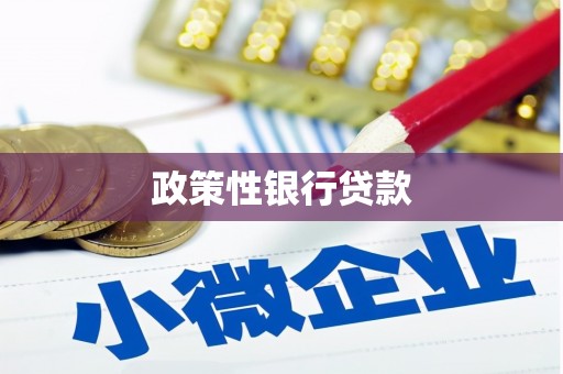 高台政策性银行贷款
