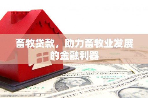 高台畜牧贷款，助力畜牧业发展的金融利器