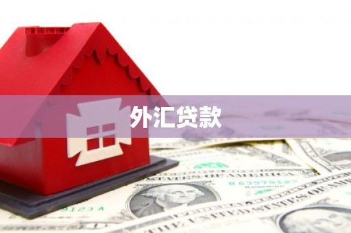 高台外汇贷款