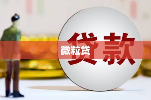 高台微粒贷