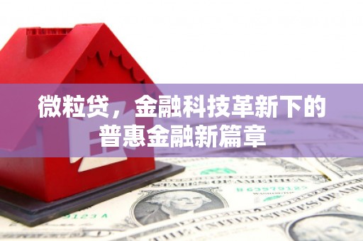 高台微粒贷，金融科技革新下的普惠金融新篇章