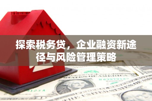 高台探索税务贷，企业融资新途径与风险管理策略
