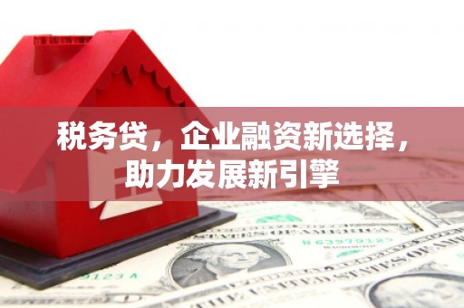 高台税务贷，企业融资新选择，助力发展新引擎