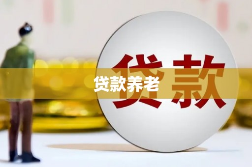 高台贷款养老