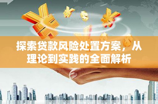 高台探索贷款风险处置方案，从理论到实践的全面解析