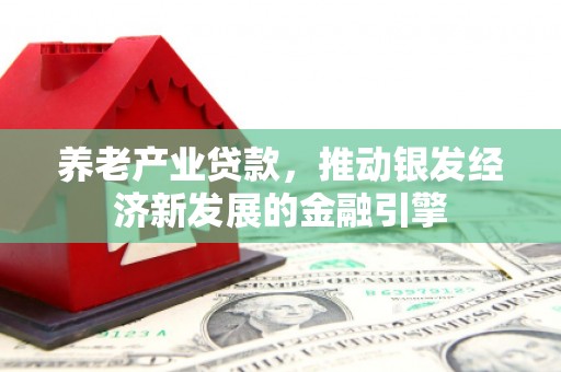 高台养老产业贷款，推动银发经济新发展的金融引擎