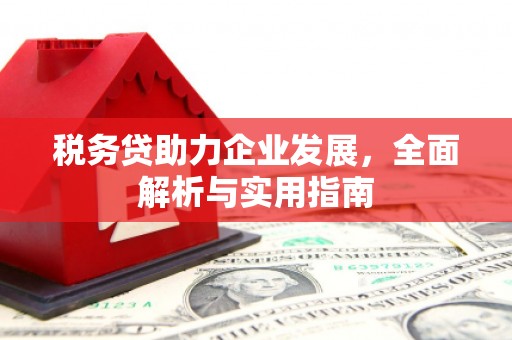 高台税务贷助力企业发展，全面解析与实用指南