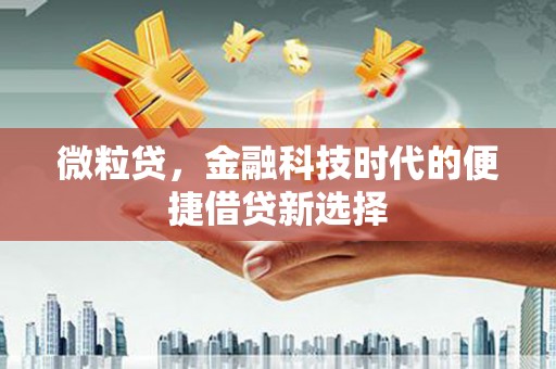 高台微粒贷，金融科技时代的便捷借贷新选择