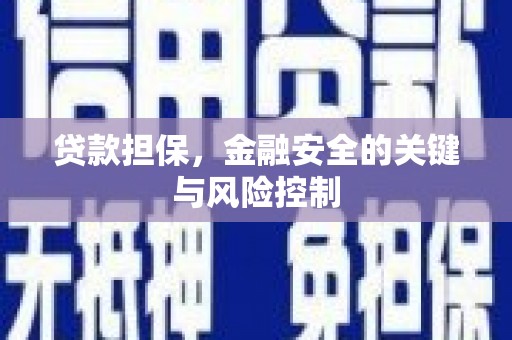 高台贷款担保，金融安全的关键与风险控制